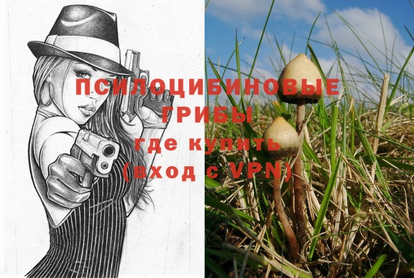mix Алексеевка